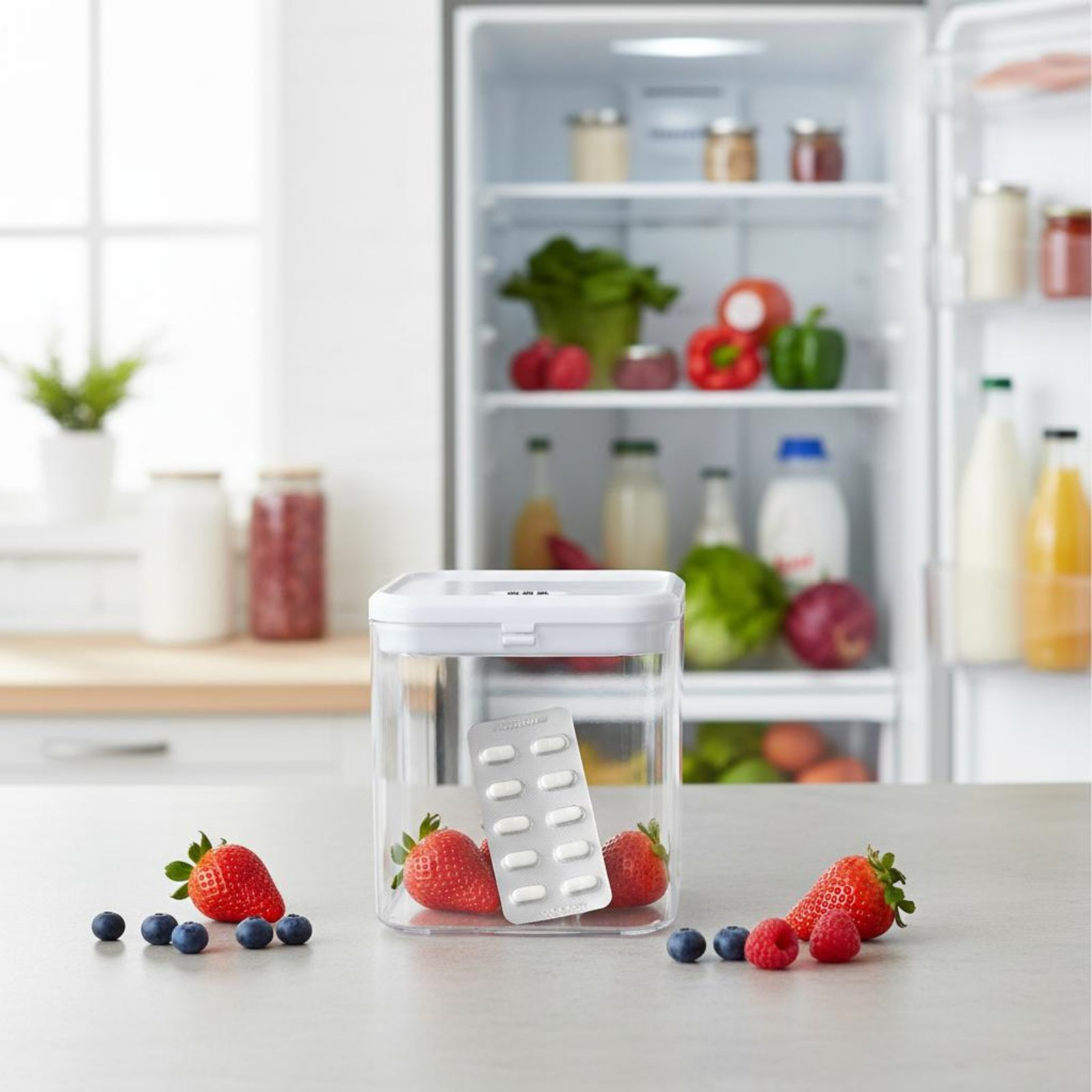 Clear Lockable Box Versatile L - đánh giá và giá Food Storage And
