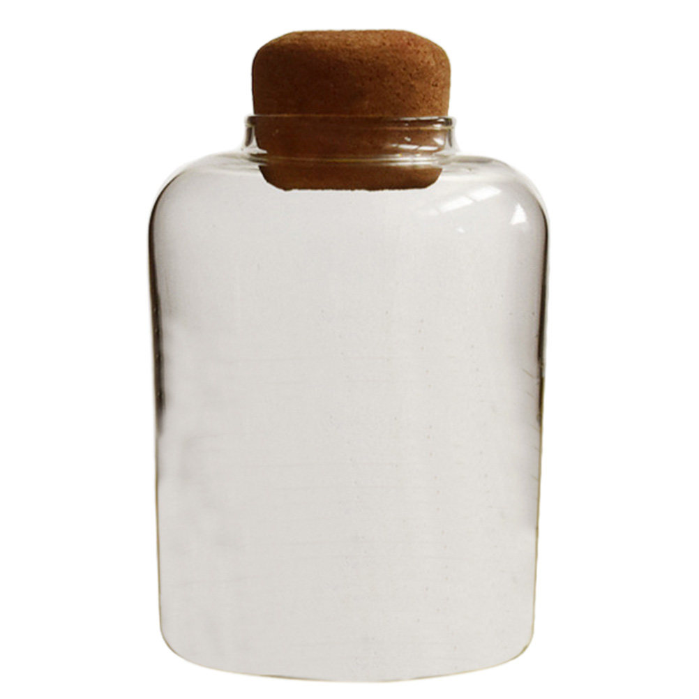 1Pcs Glass Storage Jar Cork Se - đánh giá và giá Food Storage Glass Container Set