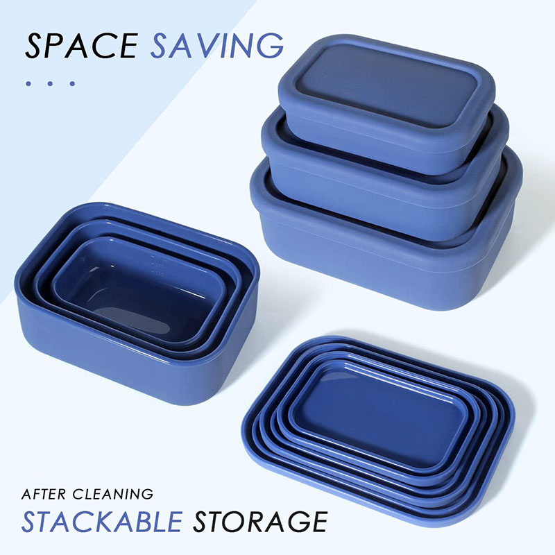Leak-Resistant Bento Lunch Box - đánh giá và giá Food Storage 30 Years