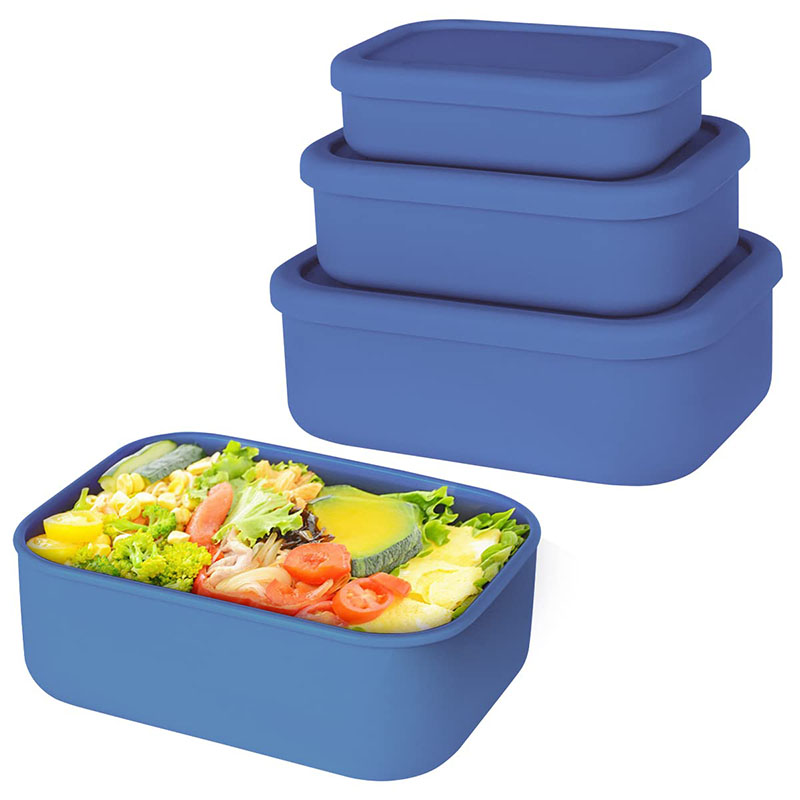 Leak-Resistant Bento Lunch Box - đánh giá và giá Food Storage 30 Years