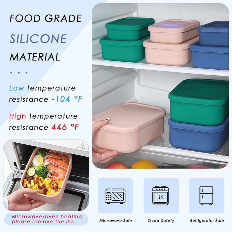 Leak-Resistant Bento Lunch Box - đánh giá và giá Food Storage 30 Years