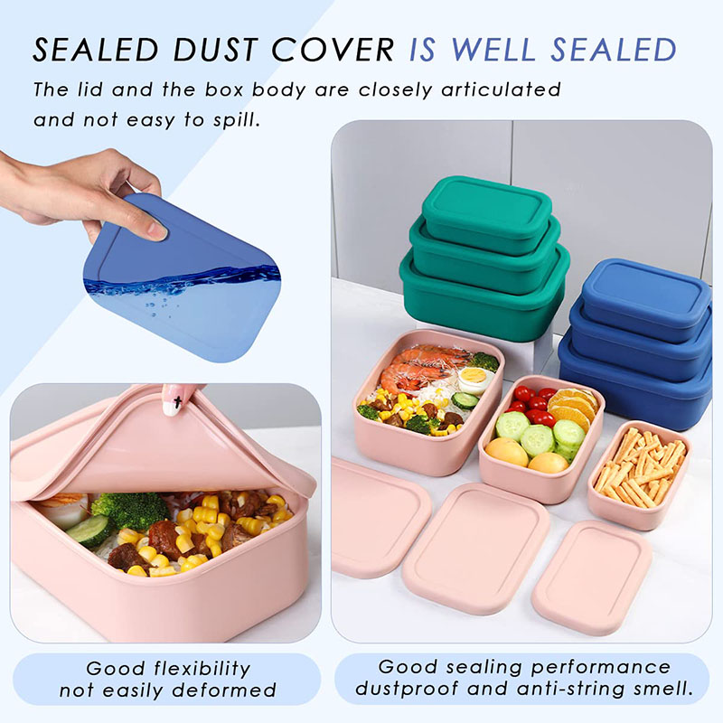 Leak-Resistant Bento Lunch Box - đánh giá và giá Food Storage 30 Years